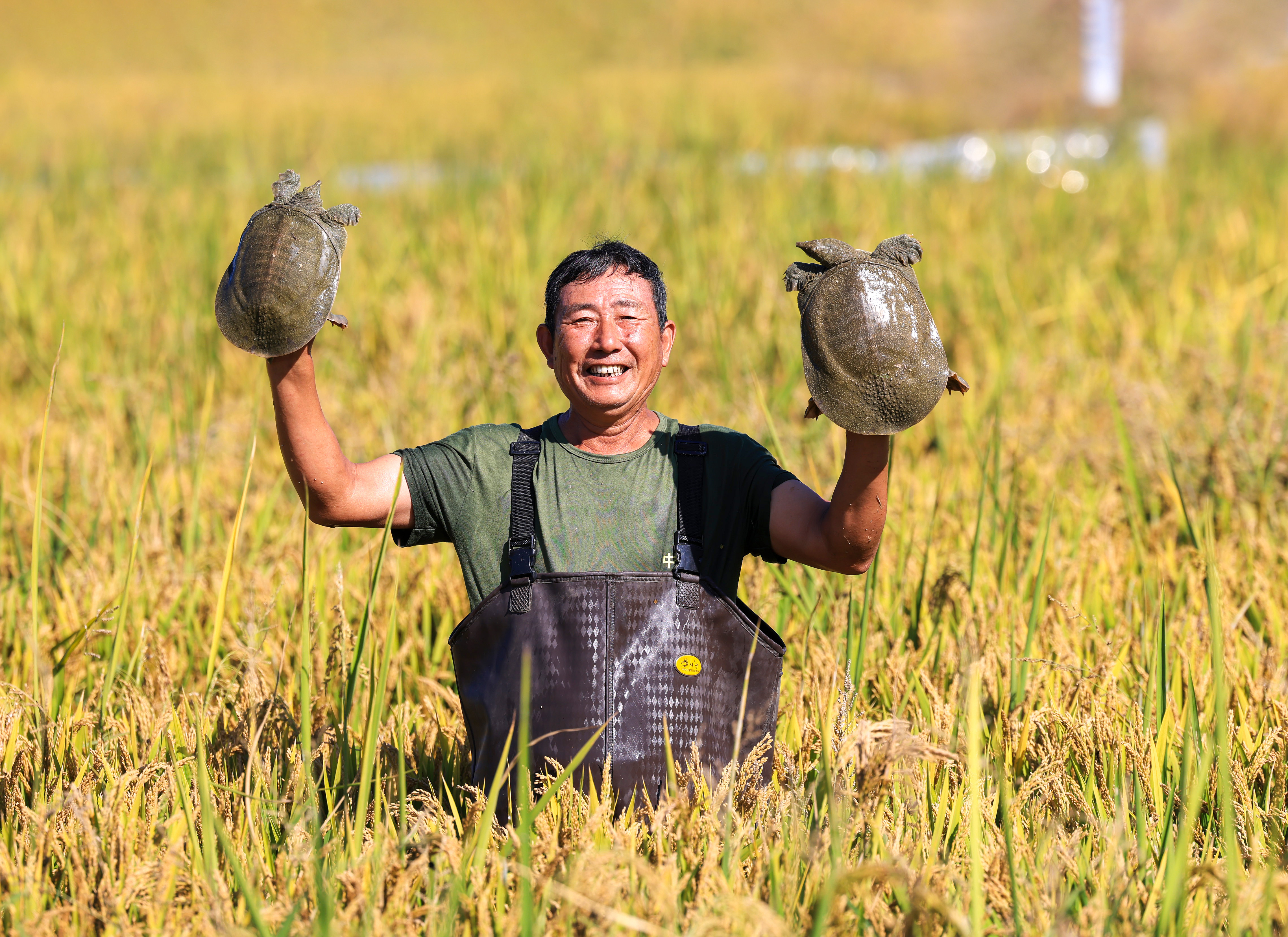共養(1).jpg